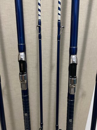 Caña Surfcasting Daiwa Prime Caster tubulares