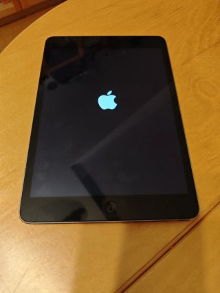 iPad Modello A1489 Grigio Siderale