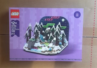 LEGO 40785 Northern Lights Diorama