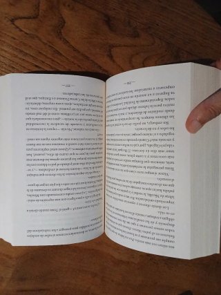 La pintora de la luz