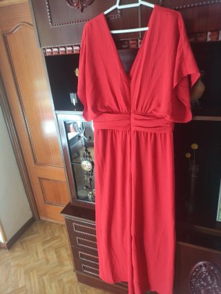Mono rojo elegante