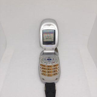 Samsung SGH-T100