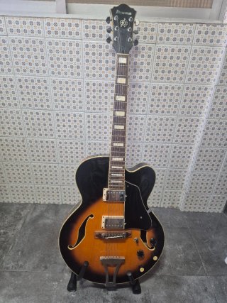 Guitarra Eléctrica Ibanez Artcore