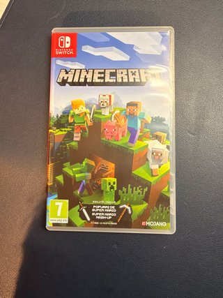 Minecraft Nintendo Switch
