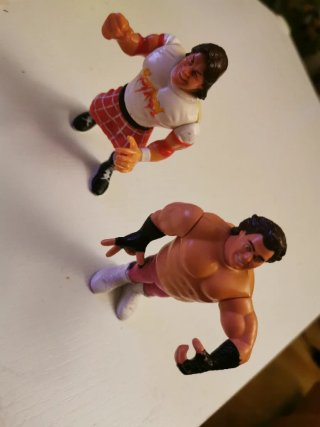Muñecos Hasbro WWF
