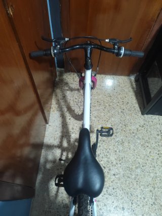Bicicleta de Niña 24"