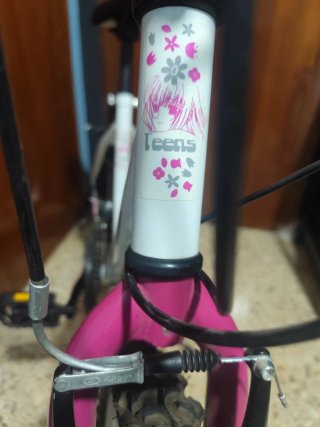 Bicicleta de Niña 24"