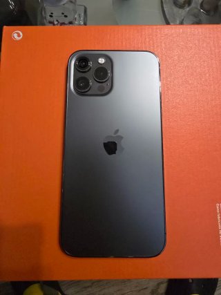 iPhone 12 Pro Max Gris