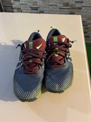 Nike Pegasus Trail