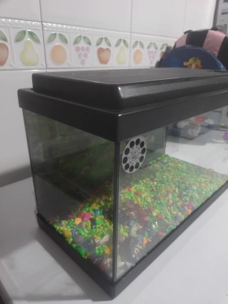 Acuario peces Negro con Piedras de Colores