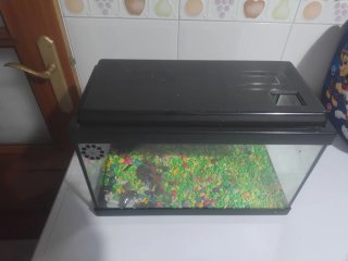 Acuario peces Negro con Piedras de Colores