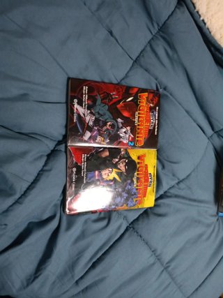 My hero academia vigilante illegals manga completo