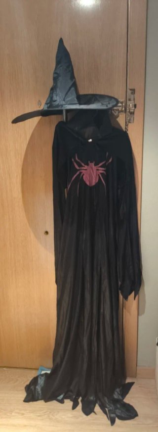 Disfraz Bruja Sexy con Araña Rosa