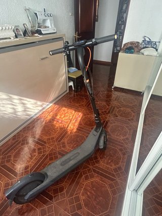 Patinete Eléctrico Ninebot E2 Pro