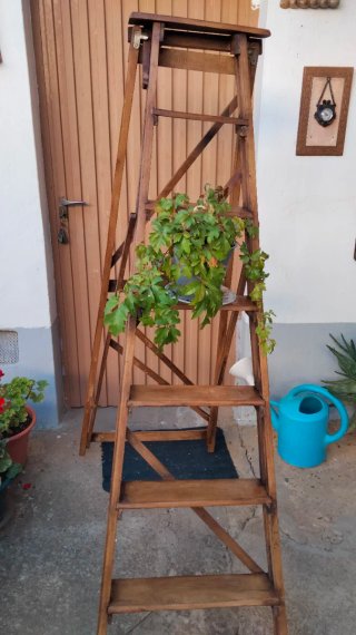 Escalera de tijera antigua de madera