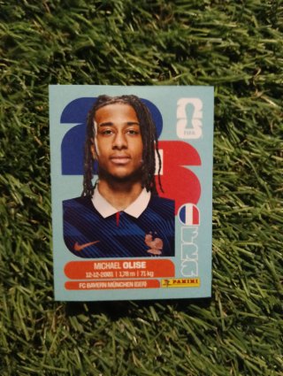 Cromos Francia FIFA Panini