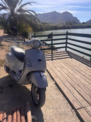 Vespa gris cuidada