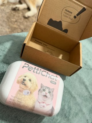 Collar PettiChat GPS perro/gato rosa