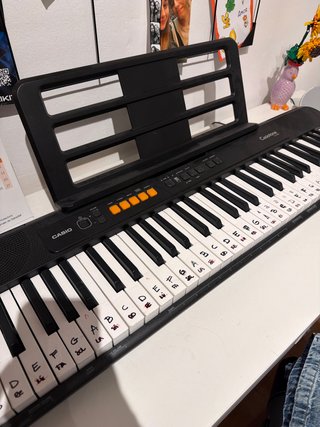 Teclado Casio CT-S100