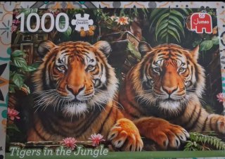 Puzzle Jumbo 1000 piezas Tigers in the Jungle