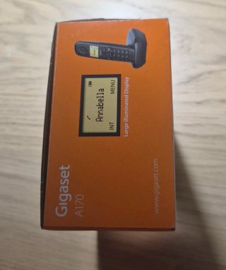 Teléfono Fijo Inalámbrico Gigaset A170