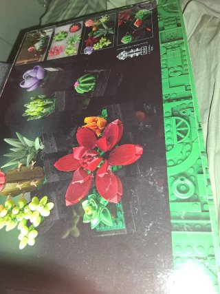 LEGO 10309 Serie Botanica