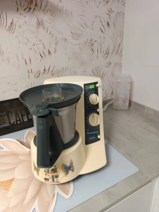 Thermomix TM21 Vorwerk