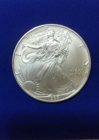 Moneda de Plata Liberty 1995