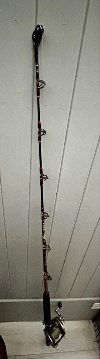 Caña de altura Kali + carrete Daiwa Sealine 400 H