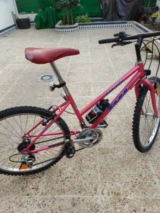 Bicicleta BH Florida 24 pollici