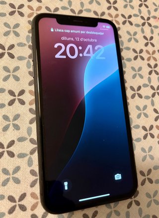 Apple iPhone 11 256GB Negro