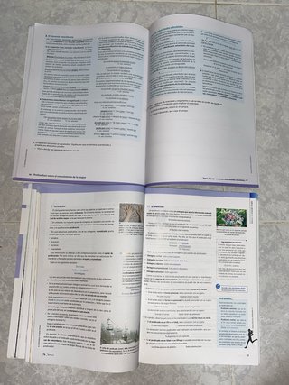 Lengua castellana y literatura 2 bachillerato :...