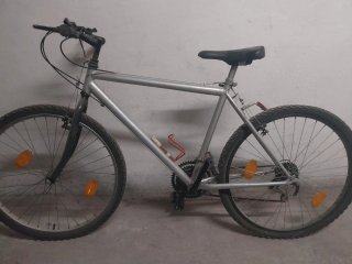 Bicicleta de Montaña Gris