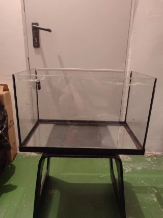 Urna de cristal/ terrario (Tortugas pequeñas, etc)