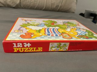 Puzzle 12 piezas dinosaurios baño