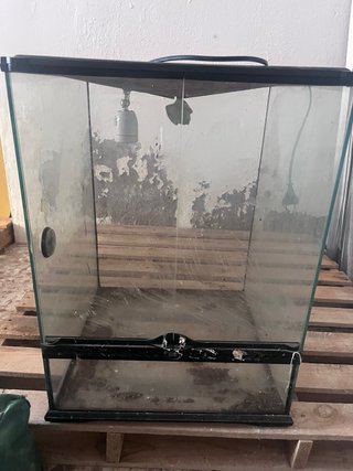 Terrario de Cristal