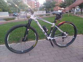 Bicicleta de Montaña