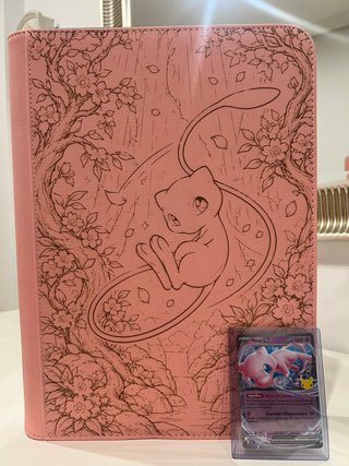 Binder Rosa Pokemon