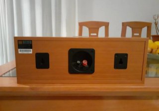 JBL altavoz 100w