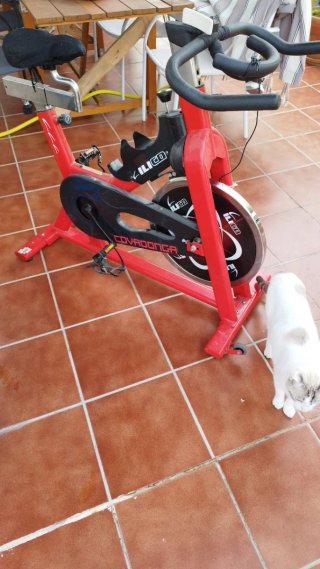 Bicicleta Spinning Ilico Covadonga Roja