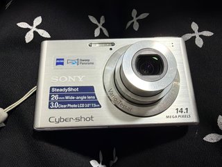 Sony Cyber-shot DSC-W550 Plata