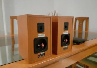 JBL altavoces 100w de la prestigiosa marca america