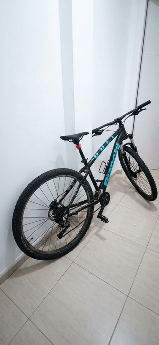 Bicicleta Bianchi Duel 29