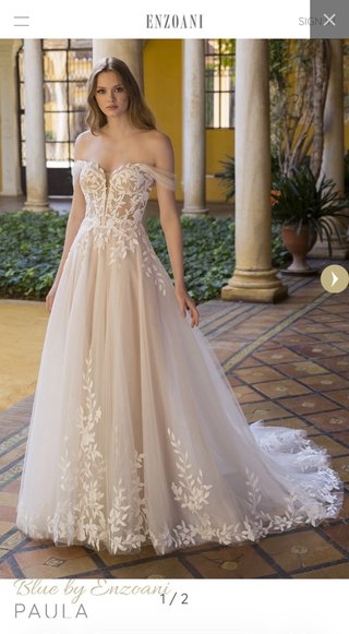 Vestido de novia Blue by Enzoani Paula