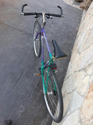 Bicicleta Orbea Morada y Verde
