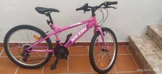 Bicicleta Neon 24 Pulgadas Rosa