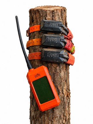 GPS Dogtrace X20 con 3 collares