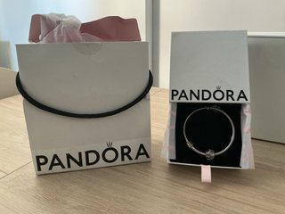 Pulsera Pandora original de plata + 2 charms
