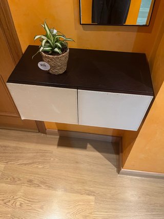 Ult oport. Recibidor moderno madera y pol