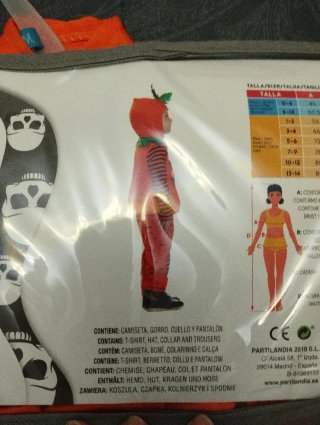 Disfraz de Calabaza para Halloween